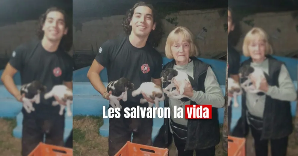 Rescataron a tres perritos que cayeron a un pozo de 20 metros
