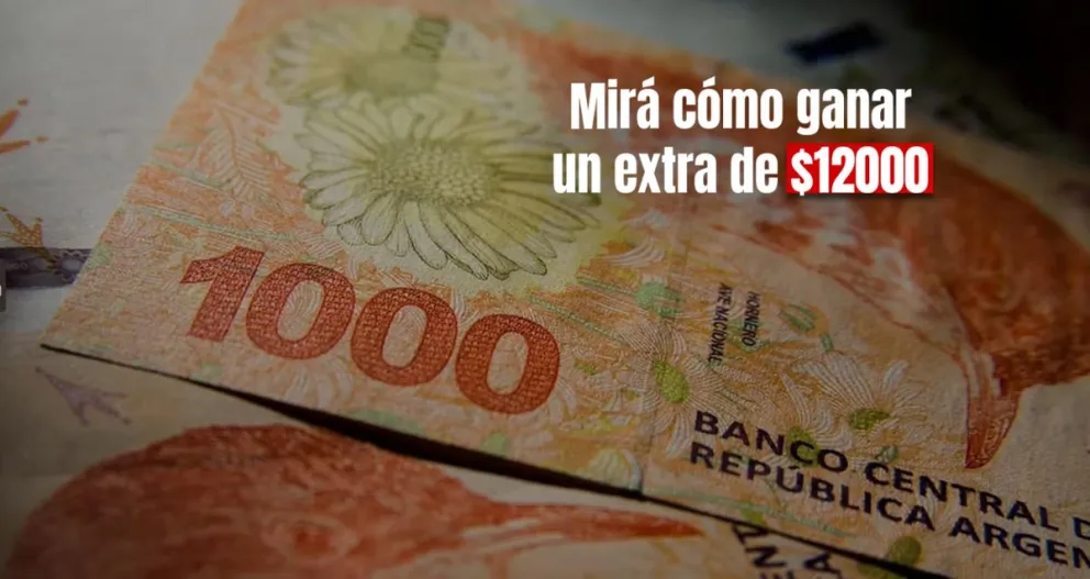 Abrieron las inscripciones para aprender lenguas extranjeras y ganar $12000
