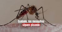 Pico histórico: Salud confirmó 71.717 casos de dengue en el país