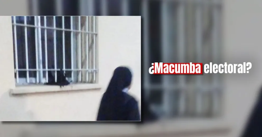 Encontraron gallinas muertas en el bunker de Juan Carlos Abarca
