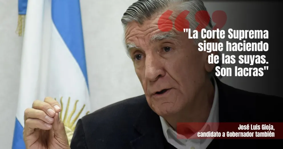 Gioja cargó contra la Corte Suprema por el fallo cercano a la fecha de elecciones