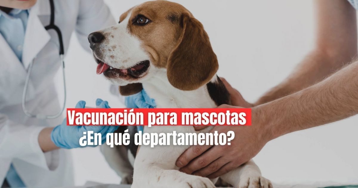 Vacunación gratis para mascotas en Albardón 