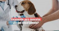 Vacunación gratis para mascotas en Albardón 