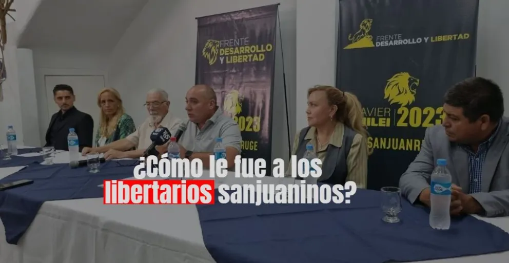 Departamento por departamento, así les fue a los candidatos libertarios