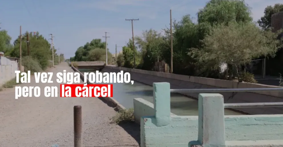 Deberá pasar tres meses tras las rejas por robar una amoladora