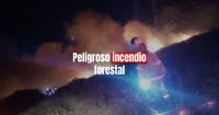 Bomberos sofocaron un incendio forestal cerca de una escuela 
