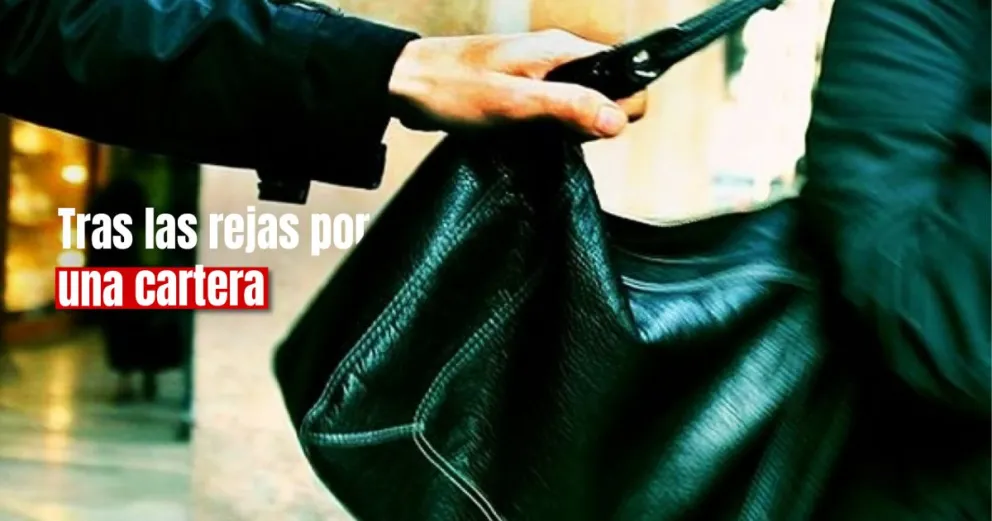 Detenido tras sustraer una cartera de una camioneta 