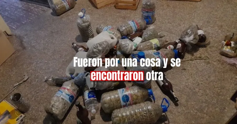 Policías allanaron una casa y se encontraron varias plantas de marihuana 