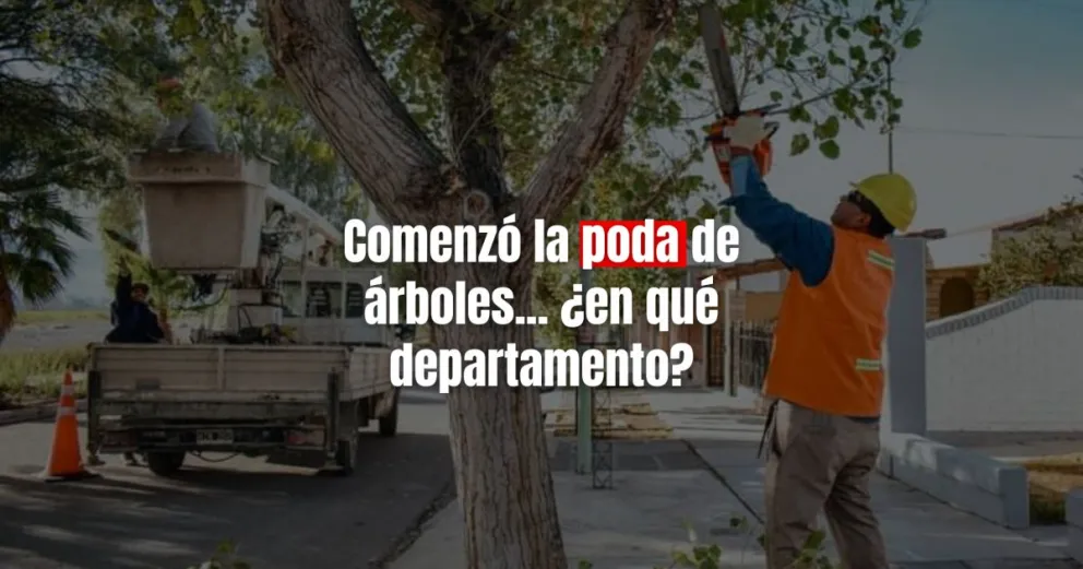 Atención vecinos de Jáchal: comenzó la poda de árboles
