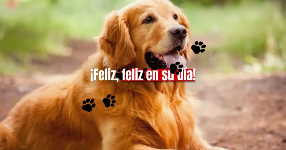 ¿Por qué hoy conmemoramos el Día Nacional del Perro?