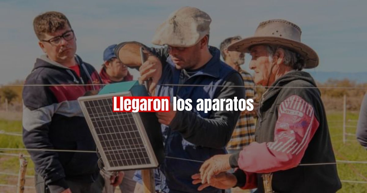 El INTA entregó boyeros solares a los productores de Mogna
