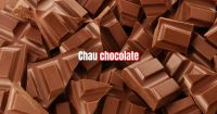 Anmat prohibió la venta de un conocido chocolate 