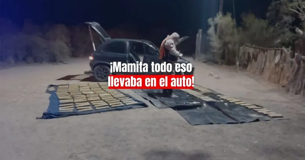 Un sanjuanino fue detenido con casi 100 kilo de marihuana en Lavalle
