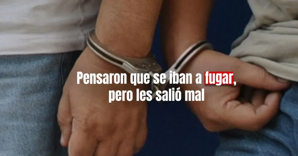 Dos ladrones entraron a una casa y se llevaron una bicicleta